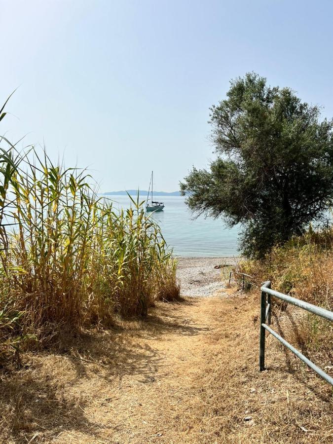 Lithino - 5min From The Apartment